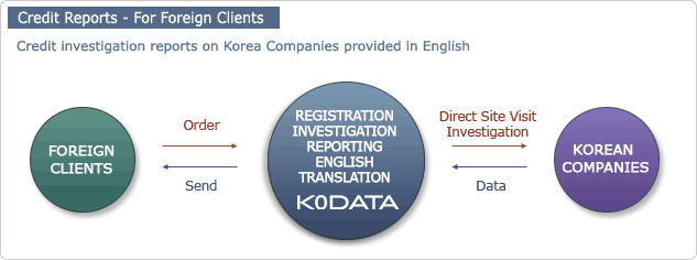 Credit Report-For Foreign Clients