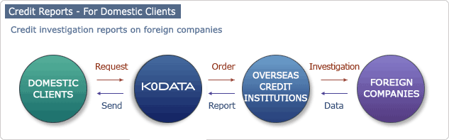 Credit Report-For Domestic Clients